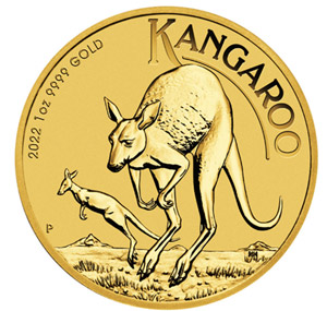 Australijski Złoty Kangur